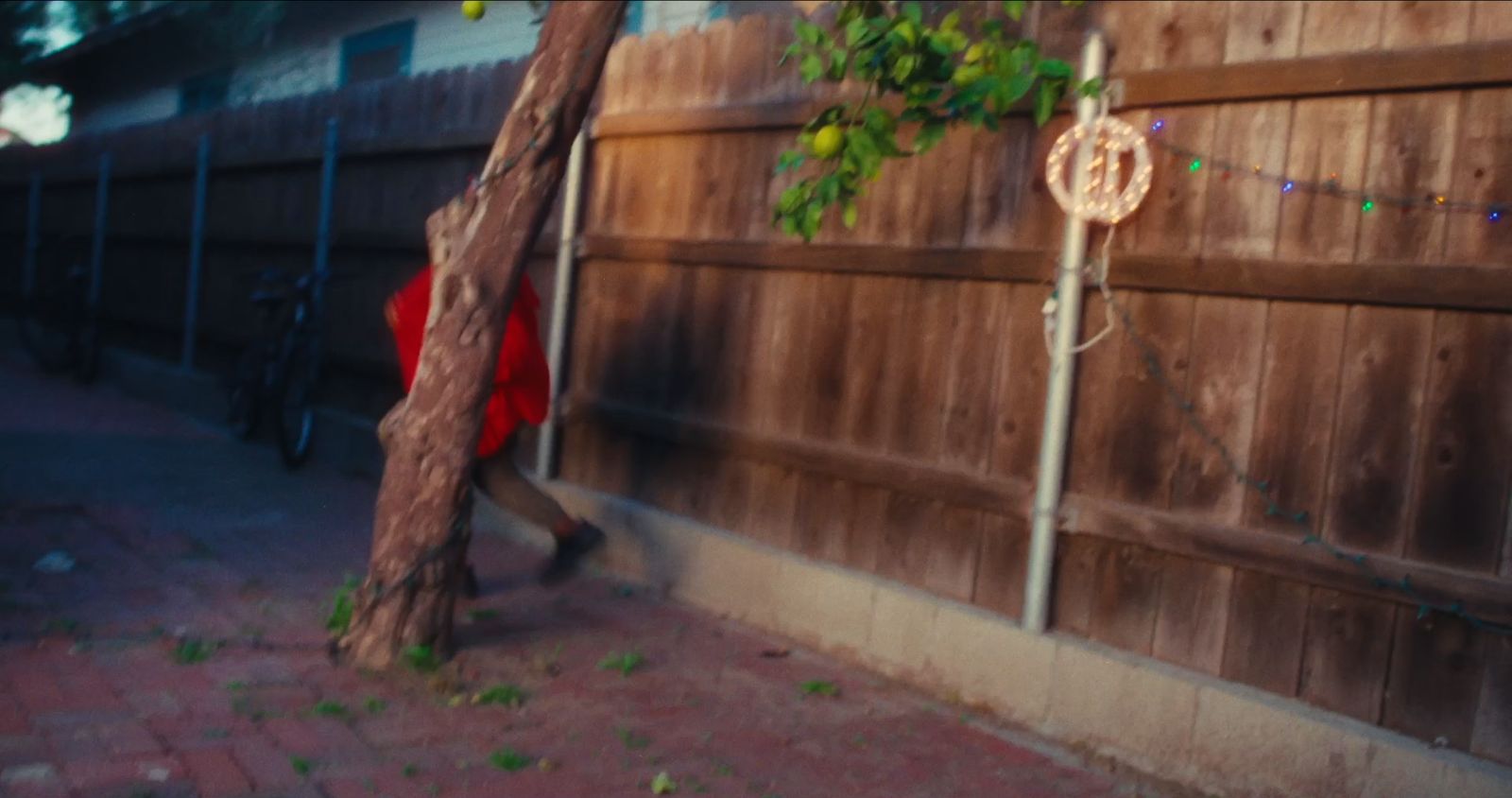 A red coat behind a lemon tree and a wooden fence, from the reel